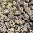 A pile of Dalmation Jasper Tumbled pebbles.