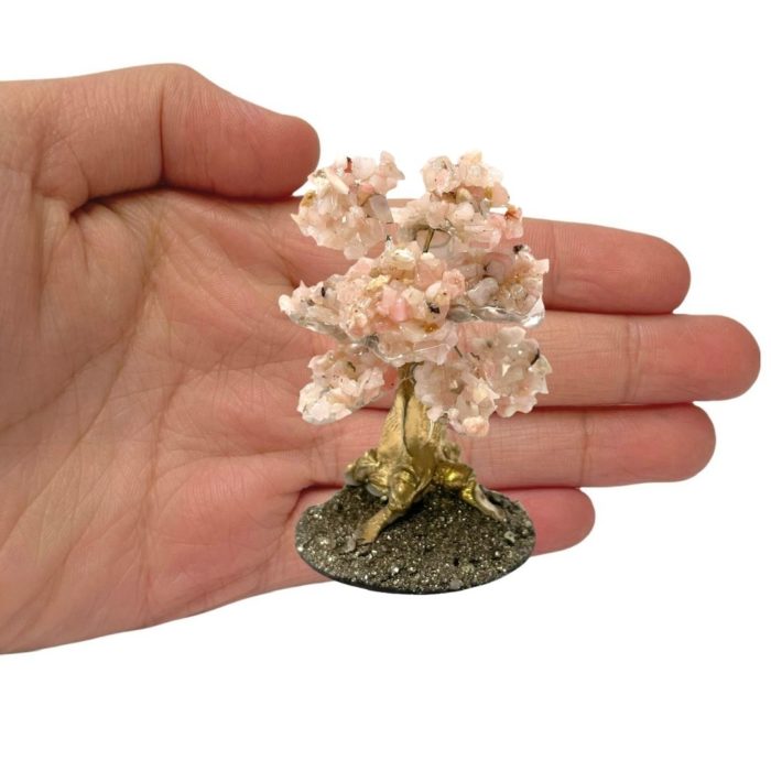Pink Opal Bonsai Tree