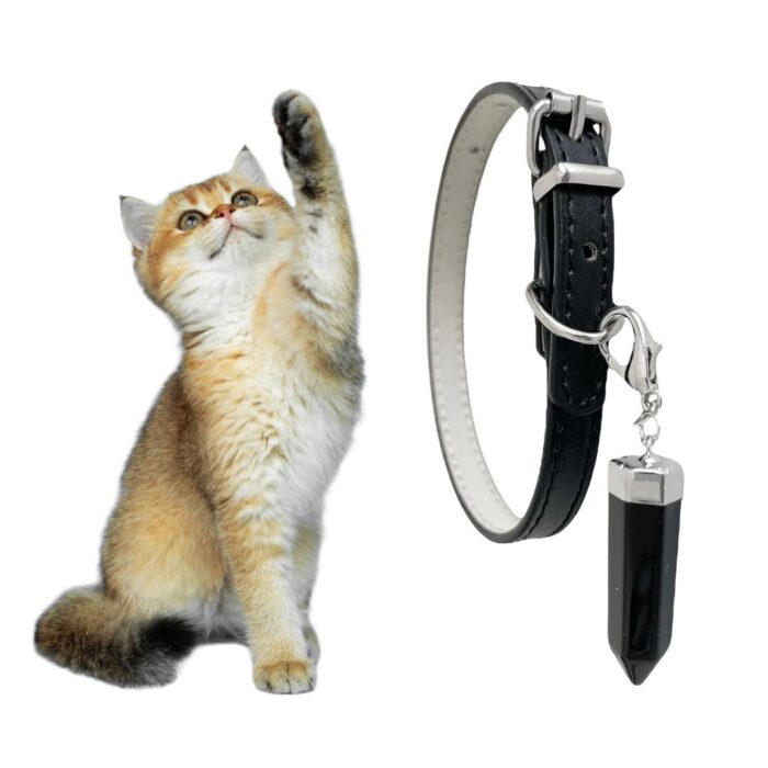 Cat collar alternative best sale